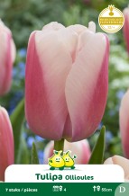 images/productimages/small/zn513w.jpg