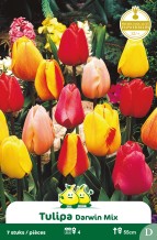 images/productimages/small/zn521w.jpg