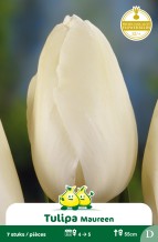 images/productimages/small/zn530w.jpg