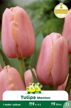 images/productimages/small/zn531w.jpg