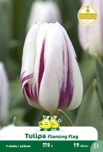 images/productimages/small/zn544.jpg