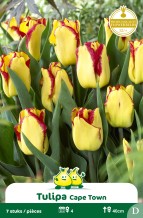 images/productimages/small/zn554w.jpg