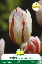 images/productimages/small/zn569w.jpg