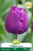 images/productimages/small/zn575w.jpg