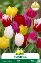 images/productimages/small/zn584w.jpg