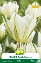 images/productimages/small/zn588w.jpg