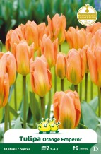 images/productimages/small/zn592w.jpg