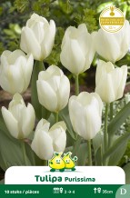 images/productimages/small/zn594w.jpg