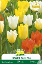 images/productimages/small/zn599w.jpg