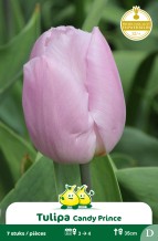 images/productimages/small/zn603w.jpg