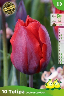 images/productimages/small/zn604.jpg