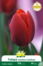 images/productimages/small/zn604w.jpg