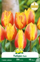 images/productimages/small/zn607w.jpg