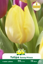 images/productimages/small/zn613.jpg
