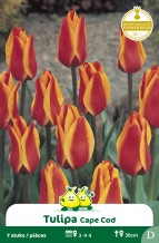 images/productimages/small/zn623w.jpg
