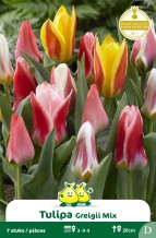 images/productimages/small/zn636w.jpg