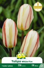 images/productimages/small/zn638w.jpg