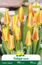 images/productimages/small/zn655w.jpg