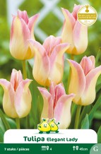 images/productimages/small/zn665w.jpg
