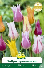 images/productimages/small/zn676w.jpg