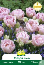 images/productimages/small/zn680.jpg