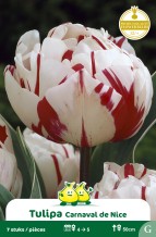 images/productimages/small/zn685w.jpg