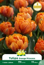 images/productimages/small/zn694.jpg