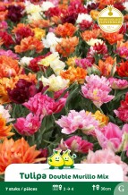 ZAKJES DUBBELE VROEGE TULPEN MIX E