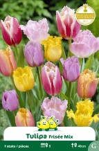 images/productimages/small/zn715w.jpg