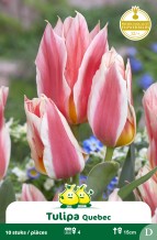 images/productimages/small/zn726w.jpg