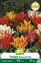 images/productimages/small/zn730w.jpg