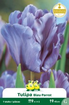 images/productimages/small/zn736w.jpg