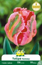 images/productimages/small/zn737w.jpg