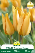 images/productimages/small/zn738w.jpg