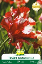 images/productimages/small/zn744w.jpg