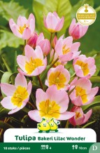 images/productimages/small/zn765w.jpg