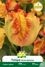 images/productimages/small/zn789.jpg
