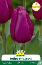 images/productimages/small/zn793w.jpg