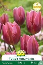 images/productimages/small/zn797w.jpg