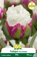 images/productimages/small/zn805w.jpg