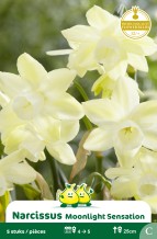 images/productimages/small/zn871w.jpg