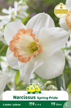 images/productimages/small/zn877w.jpg