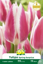 images/productimages/small/zn882.jpg