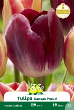 images/productimages/small/zn885.jpg