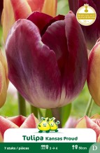 images/productimages/small/zn885w.jpg