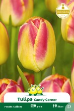 images/productimages/small/zn887.jpg