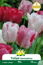 images/productimages/small/zn890.jpg