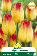 images/productimages/small/zn895w.jpg