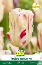 images/productimages/small/zn913w.jpg