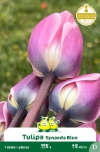 images/productimages/small/zn914w.jpg